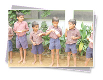 KMC Public School - Premises