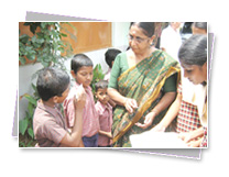 KMC Public School - Premises