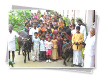 KMC Public School - Premises