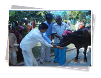 KMC Public School - Pongal