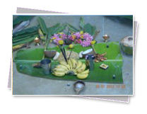 KMC Public School - Pongal
