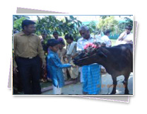 KMC Public School - Pongal