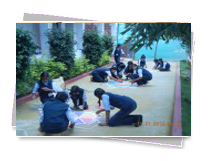KMC Public School - Rangoli
